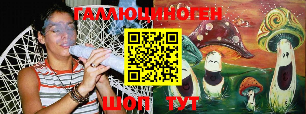 Черемхово  Галлюциногенные грибы прущие грибы  Вход с VPN  Галлюциногенные грибы Cubensis 